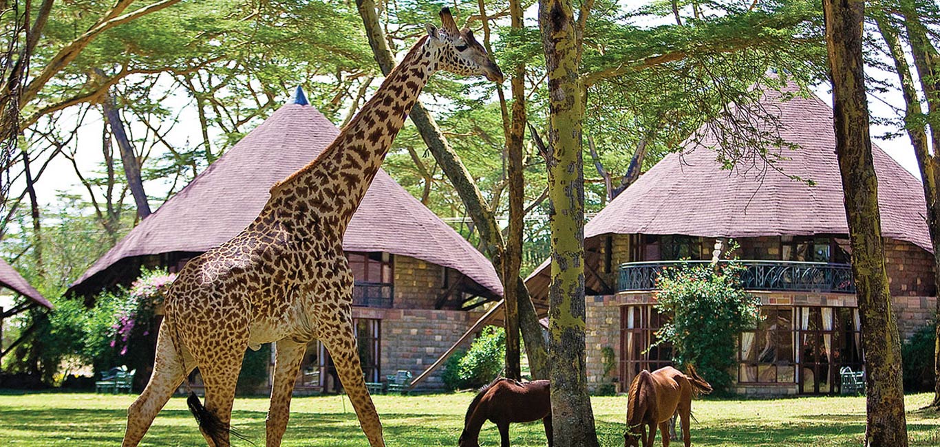 Awesome Kenya <span>5 Days/4 nights</span>