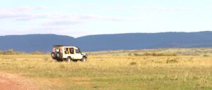 A Safari, Beach and Cultural Experience (11 Days)