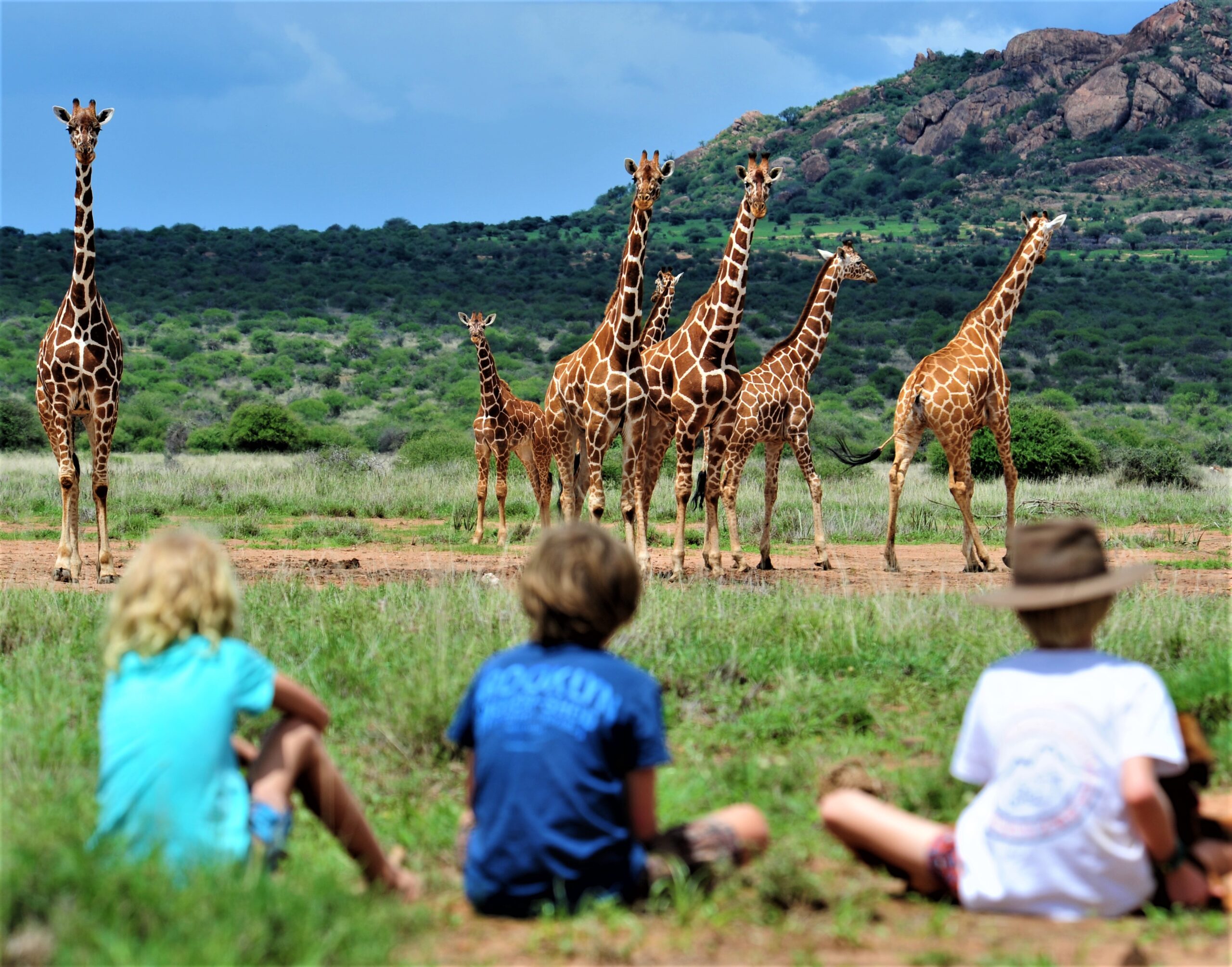 What About A Walking Safari?