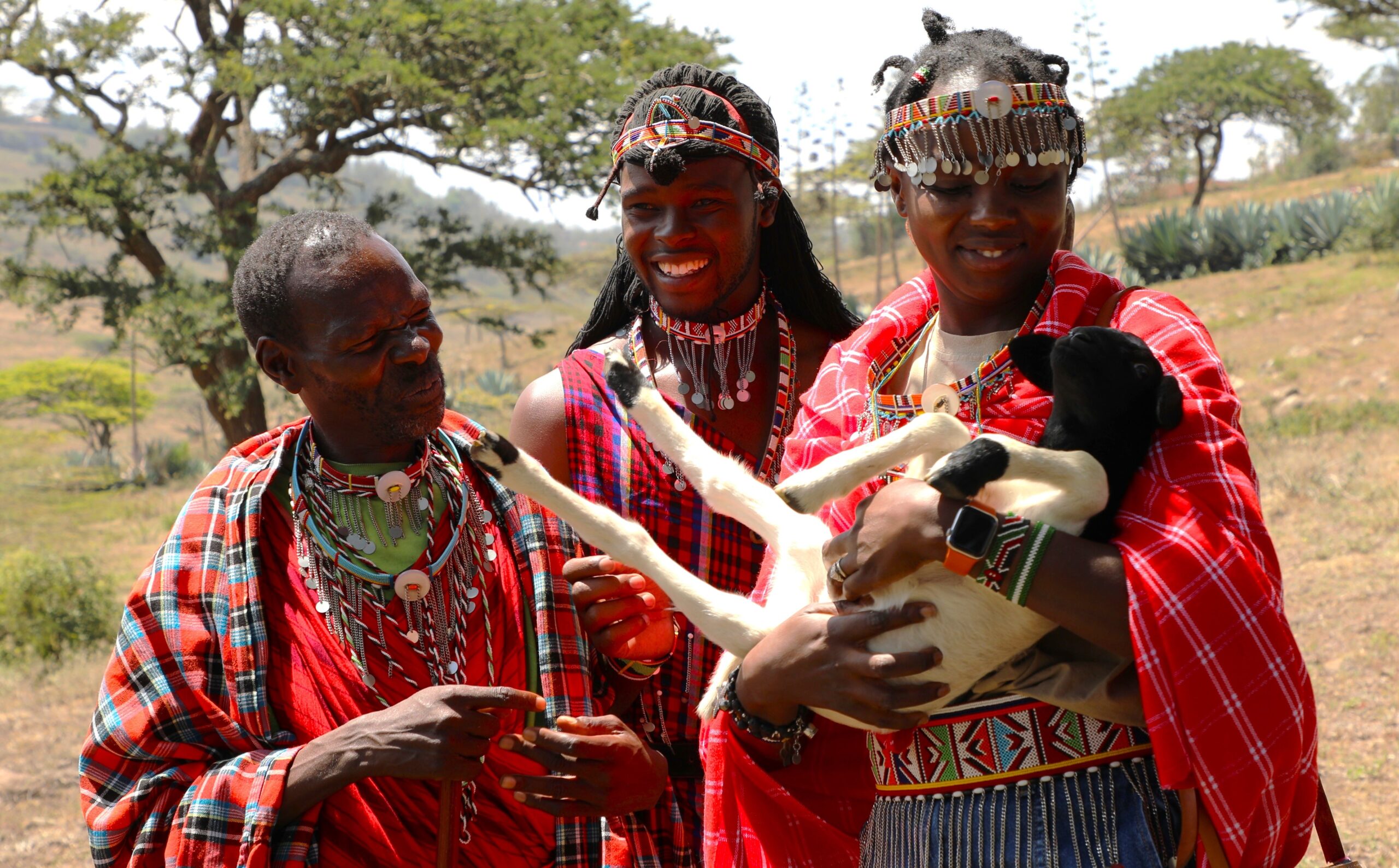 Ready to Explore Kenya?