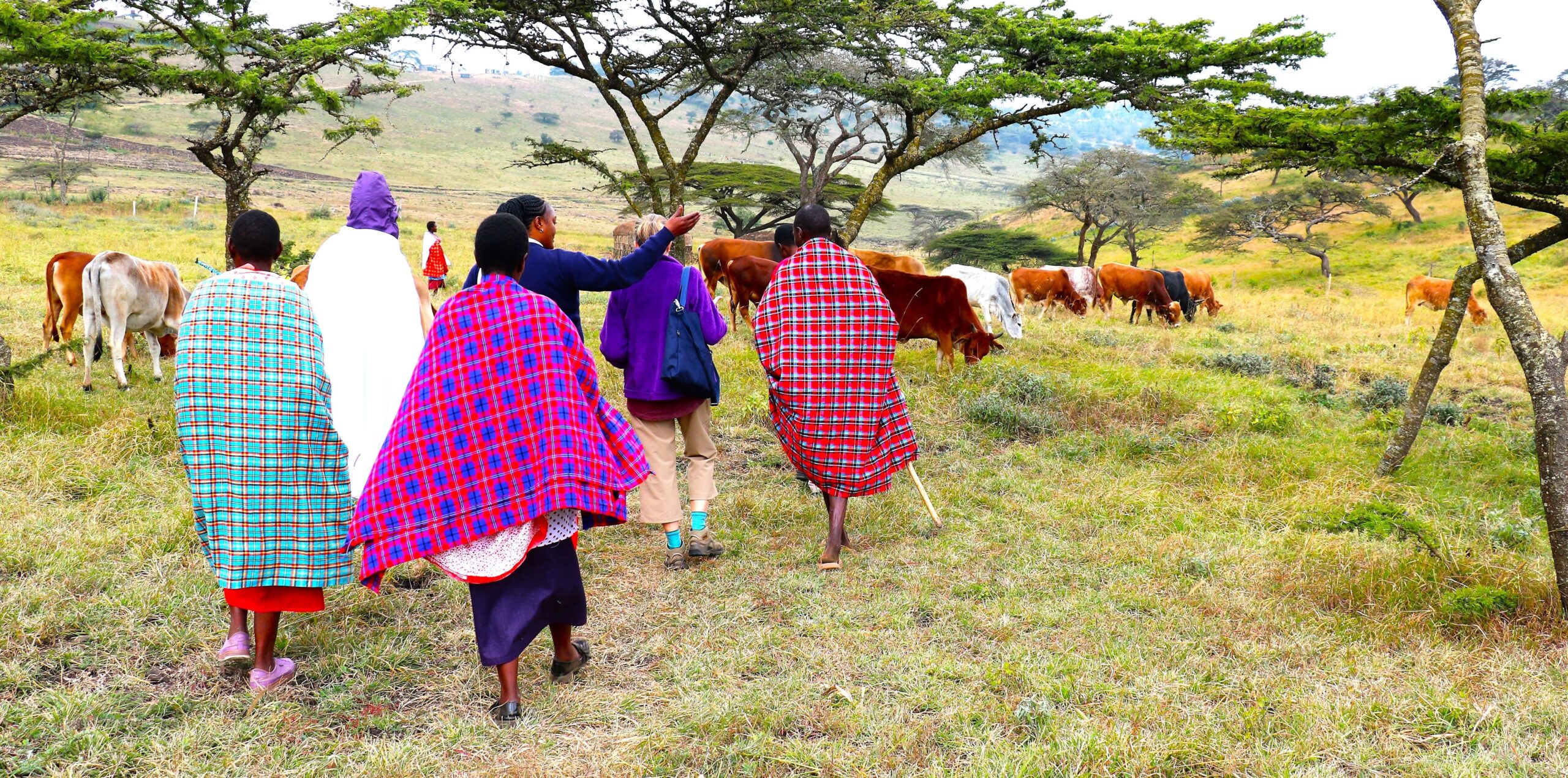 Hiking the Hills With The Maasai (1 Day) <span>A Day of Fitness, Nature and Conservation</span>