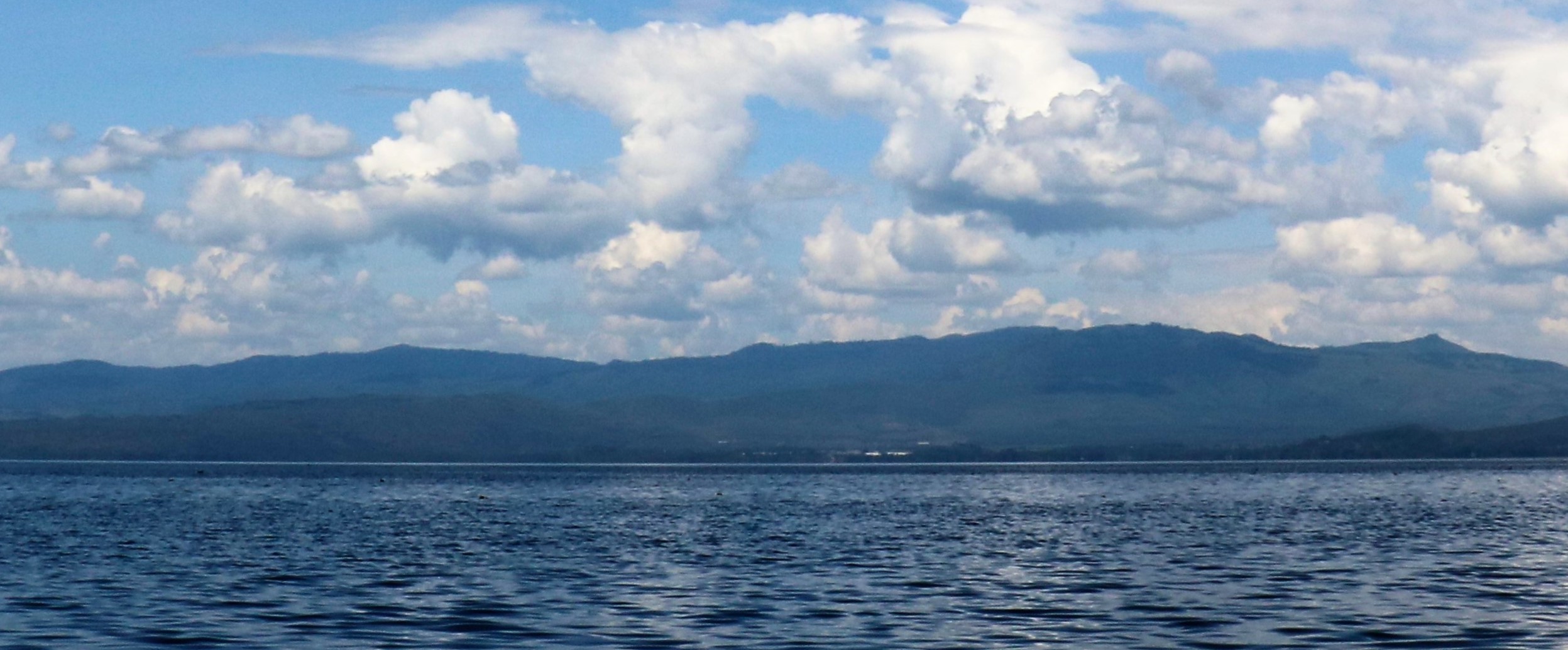 Capturing Lake Naivasha’s Wildlife <span>For Enthusiasts, Amateur and Professional Photographers</span>