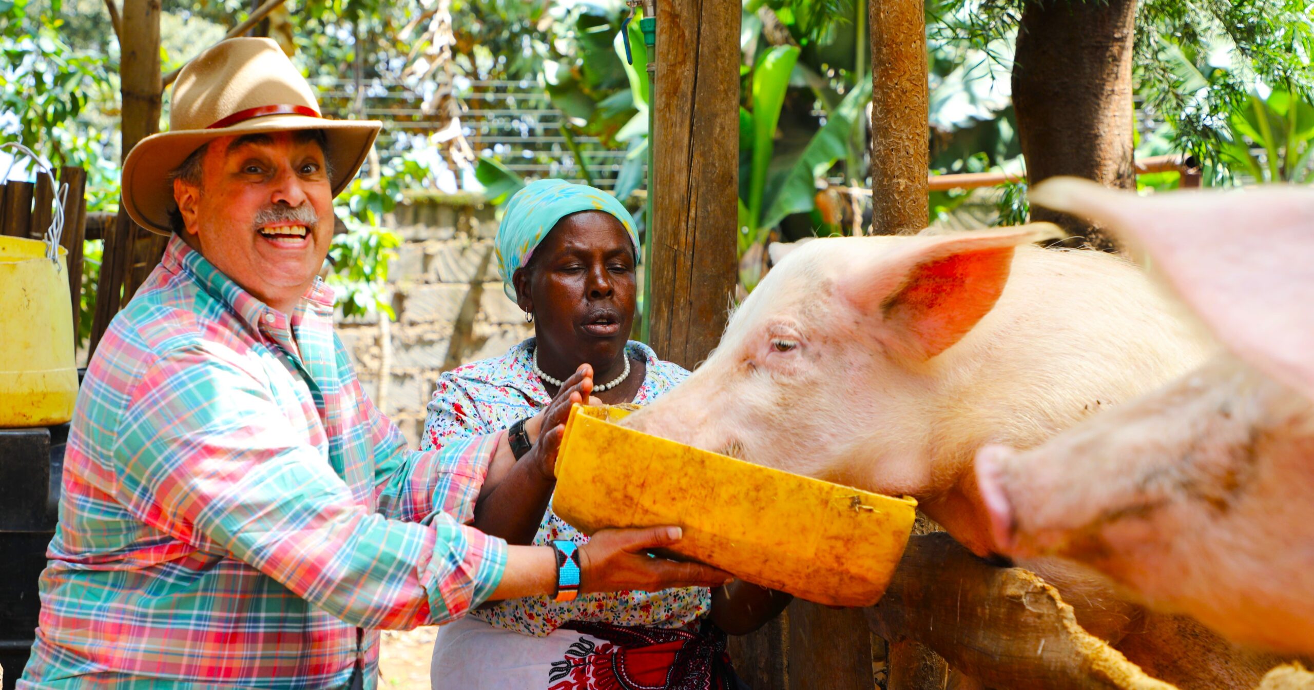 Go Granny Go! (1 Day) <span>Inspirational and Uplifting</span>